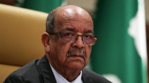 DC Madame Messahel