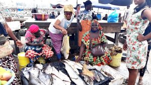 poisson Sénégal