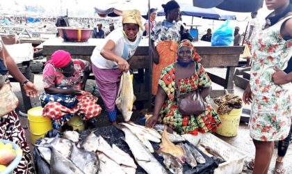 Le poisson détourné du Sénégal