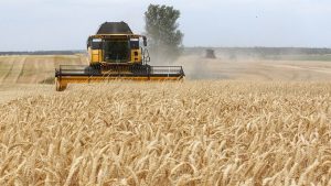 Makhzen crise alimentaire