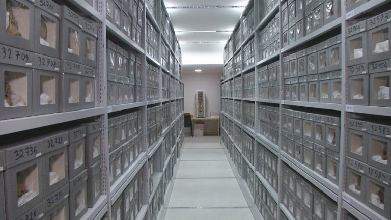 Macron s'est dit prêt à ce que Paris restitue les crânes d'insurgés algériens tués au XIXe siècle par l'armée française et conservés au Musée de l'Homme à Paris