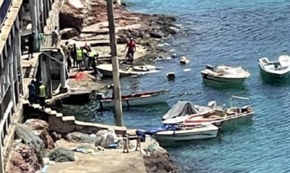 L’affaire de l’abri de bateaux de Cap Falcon continue de faire des remous