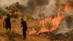 incendies bilan