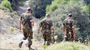 ANP 8 quintaux de kif traité