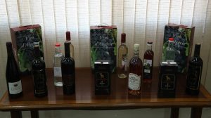 vins algériens Italie