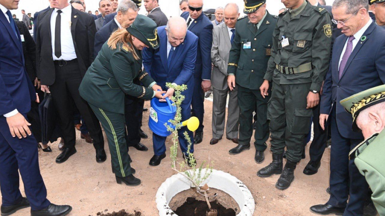 Tebboune Djelfa