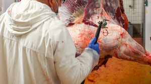 La certification «halal» sera appliquée graduellement à partir de juin 2017. D. R.