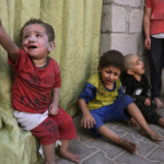 CFC : «Les responsables des abominations commises à Gaza doivent rendre des comptes»