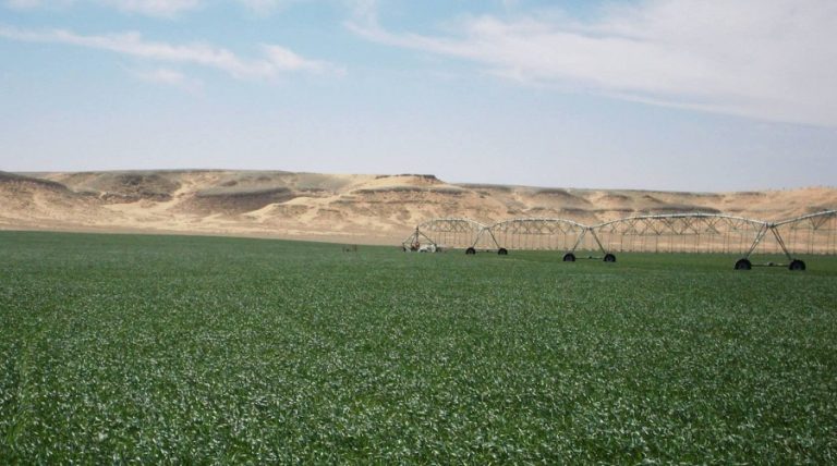 agriculture recensement
