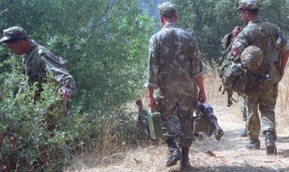 Tébessa : deux terroristes abattus par l’ANP dans la 5e Région militaire