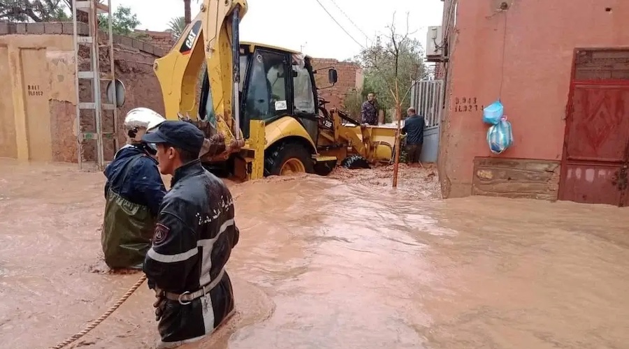 Bechar réunion gouvernement