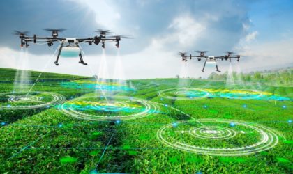 Intelligence artificielle dans l’agriculture : un projet algérien intéresse la Nasa et les Chinois