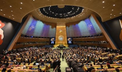 4e Commission de l’ONU : les pétitionnaires défendent le droit du peuple sahraoui à l’autodétermination