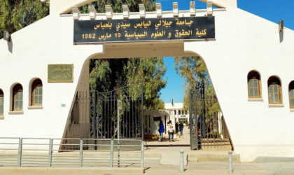 Classement Times Higher Education : l’Algérie première au Maghreb en nombre d’universités