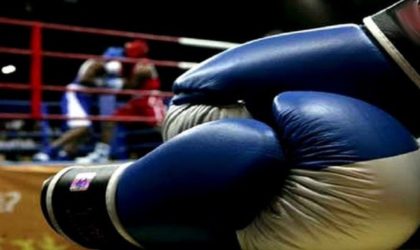 Mondial de boxe 2024 : six algériens au Colorado