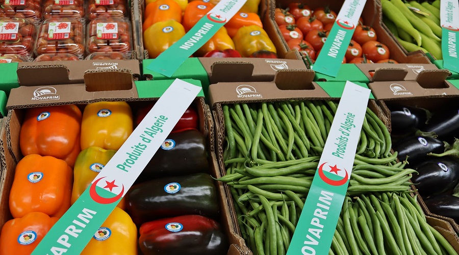 fruits-et-legumes exposition