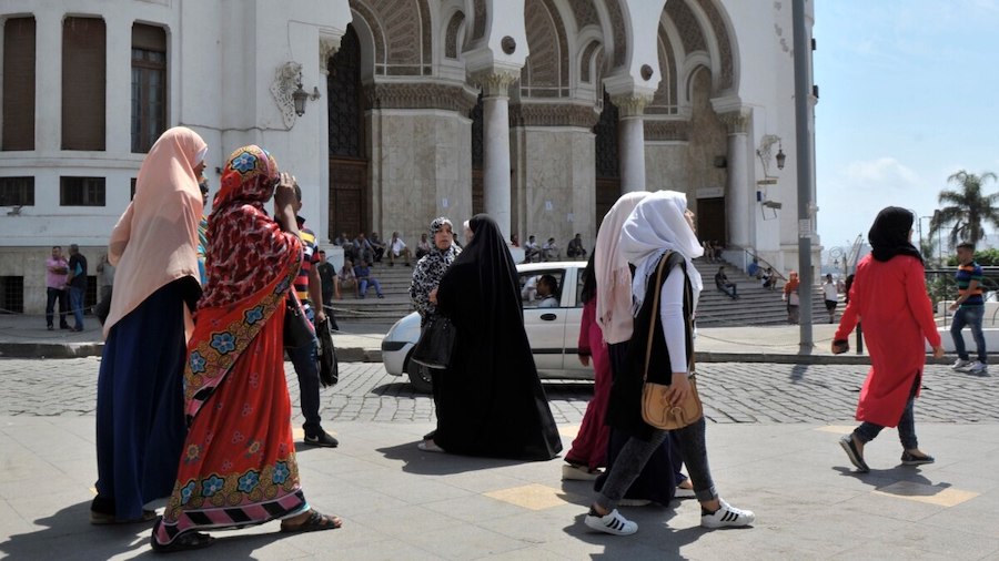 Alger voile