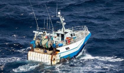 Négociations en cours pour baisser les droits d’accès des pêcheurs algériens aux eaux mauritaniennes