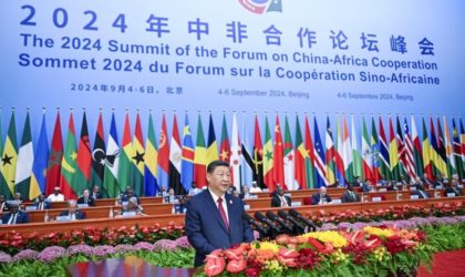 Chine-Afrique : une relation dynamique