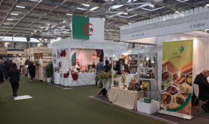 Gitex, BCR, BMS Electric, groupe Divindus : le made in Algeria a le vent en poupe