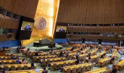 Assemblée générale des Nations unies : deux résolutions adoptées pour la Palestine occupée