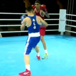 boxe championnat arabe