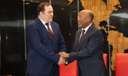 Mohamed Meziane remet une lettre du président Tebboune à son homologue namibien 