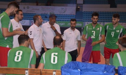 Préparation du Mondial volley 2025 : le Six national en stage à Alger