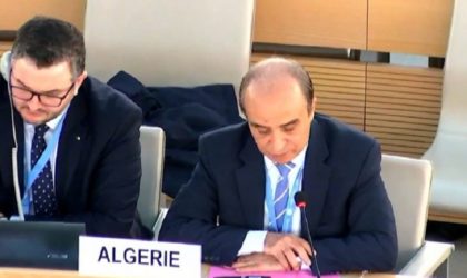 L’Algérie exprime son inquiétude face à la situation humanitaire en Palestine et aux violations au Sahara Occidental