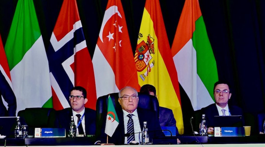 80e session de l’AG de l’ONU : l’Algérie appelle le G20 à associer l’Afrique à la redéfinition des contours de la future économie mondiale