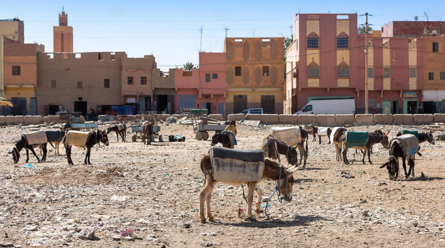 Dakhla pays africain