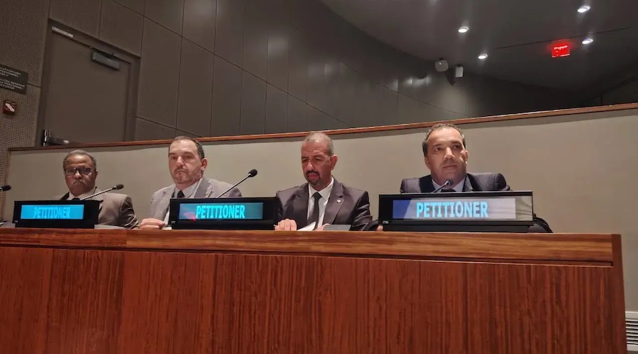 4e Commission de l’AG des Nations unies : intenses activités pour la délégation parlementaire algérienne