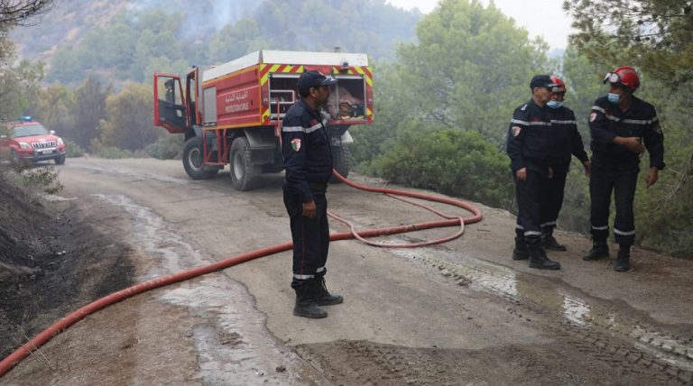 Le wali de Tipasa : «191 hectares de forêts ont été détruits, aucune perte humaine n’est à déplorer»
