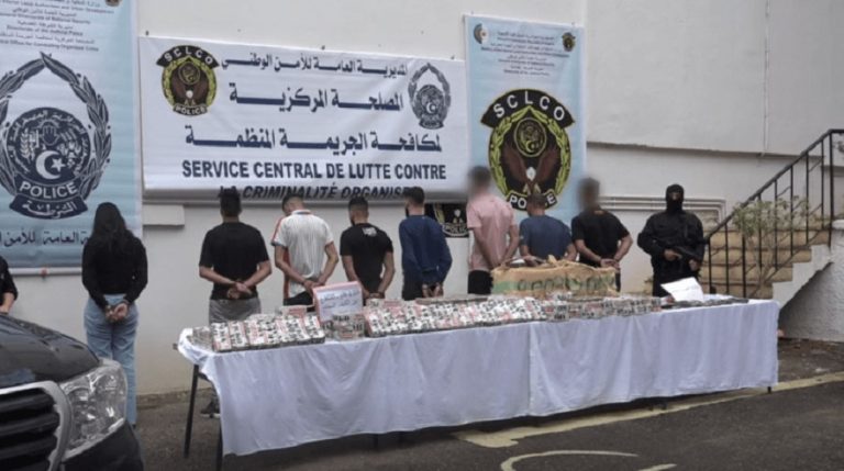 Un important réseau de trafic de drogue démantelé : 13 arrestations et plus de 110 kg de cannabis saisis