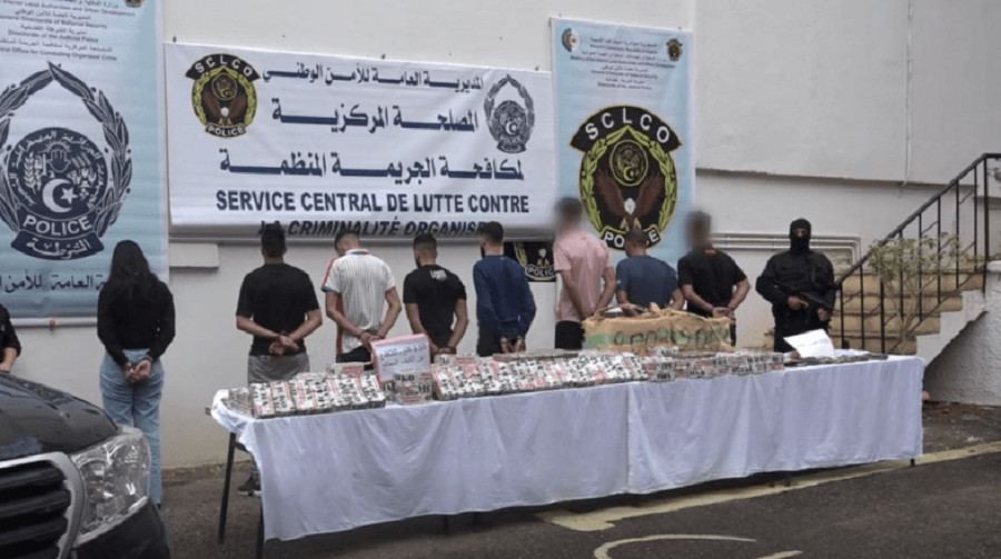 Un important réseau de trafic de drogue démantelé : 13 arrestations et plus de 110 kg de cannabis saisis