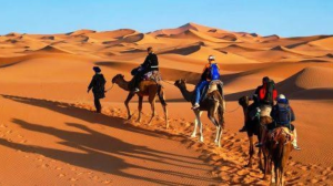 tourisme saharien