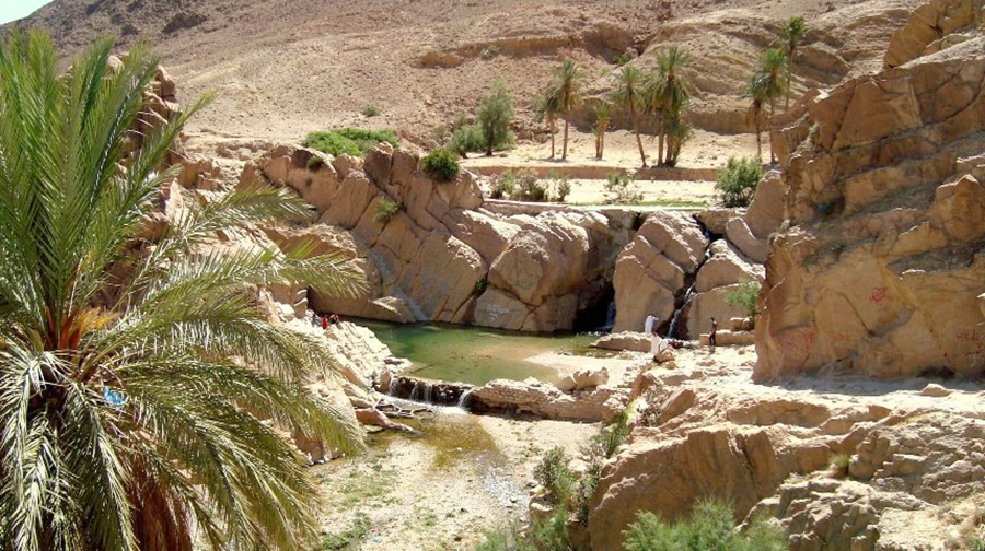 M’sila : projection en avant-première du film documentaire «Boussaâda, Art et Histoire»