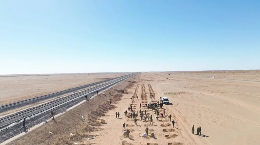 Béchar-Tindouf-Gara Djebilet : grande campagne de plantation d’arbres le long de la ligne ferroviaire