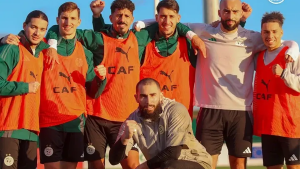 Algérie-Nigeria Verts