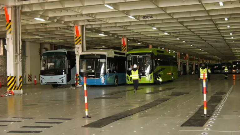 Importation prévue des 10 000 bus : réception d’une 1e cargaison chinoise et allemande au port d’Alger
