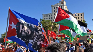 manif Cuba Palestine