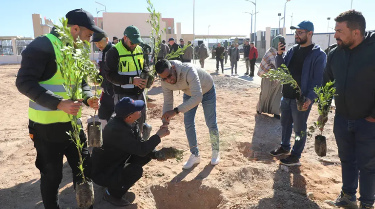 Reboisement : grande campagne le 14 février pour la plantation de cinq millions d’arbres
