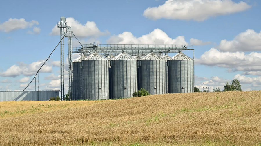 Lancement du projet de silo céréalier stratégique d’une capacité d’un million de quintaux à El-Meniaa