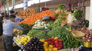 Marchés de gros Magros