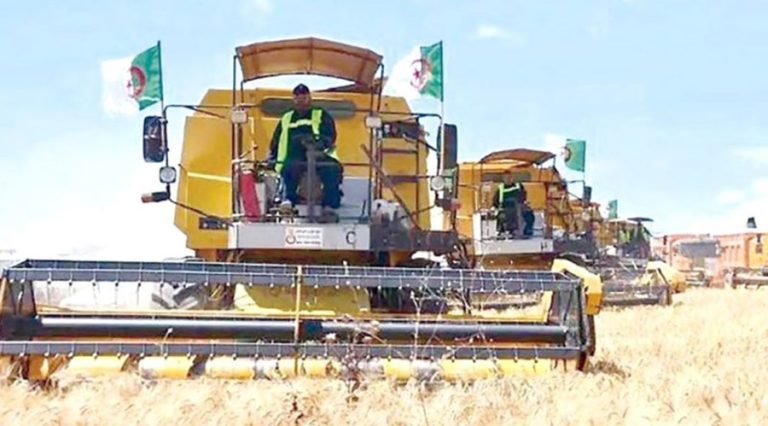 AgroDrive en première ligne : importante mécanisation pour la récolte céréalière