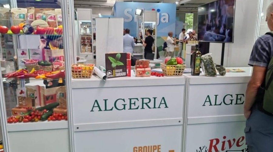 L’Algérie à la conquête de l’Afrique : intense mobilisation à Tindouf pour le Salon export