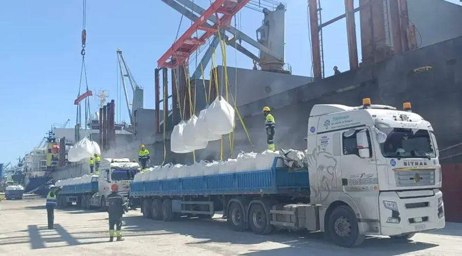 Annaba booste les exportations : 20 000 tonnes de ciment blanc vers l’Amérique latine