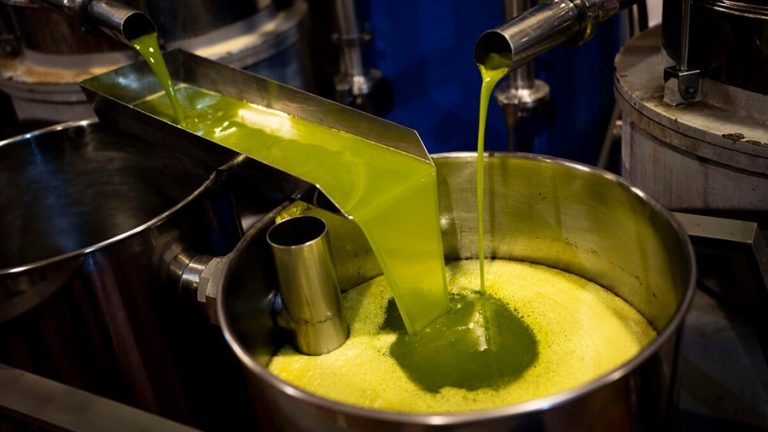 Record à Tizi-Ouzou : plus de 12,6 millions de litres d’huile d’olive produits