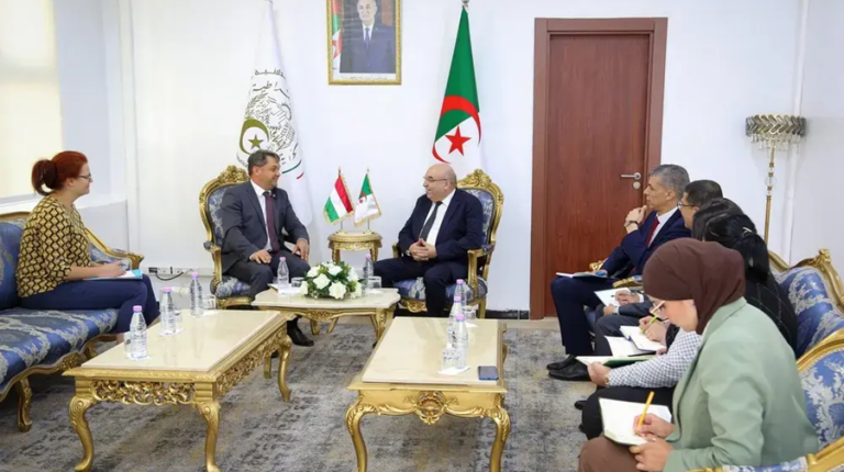 Algérie-Hongrie : l’industrie pharmaceutique et la recherche clinique au menu