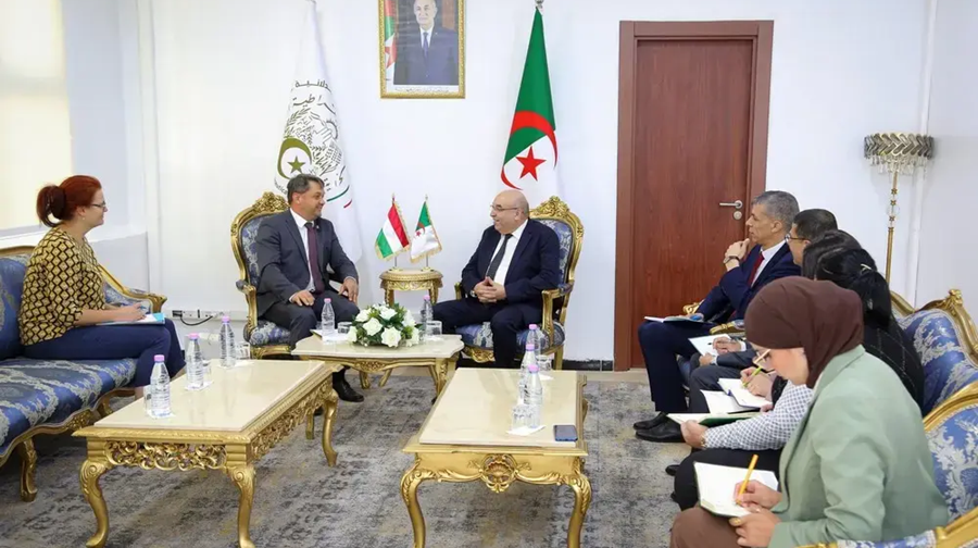 Algérie-Hongrie : l’industrie pharmaceutique et la recherche clinique au menu